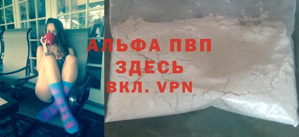 стаф Абинск