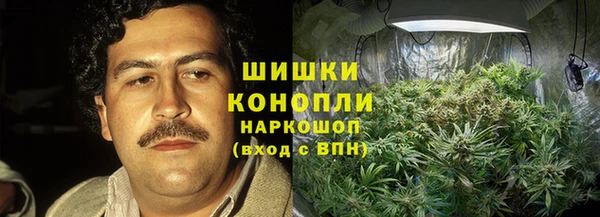 стаф Абинск