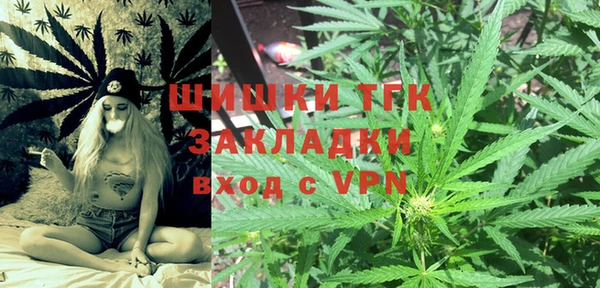 тгк Алзамай
