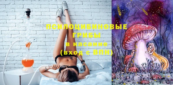 дмт Абаза