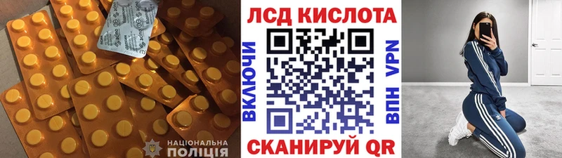 ЛСД экстази кислота  закладки  Каргополь 