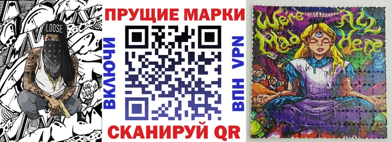 ссылка на мегу зеркало  Каргополь  Марки N-bome 1,8мг  продажа наркотиков 