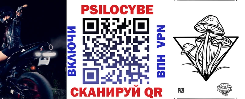 Галлюциногенные грибы Psilocybe  мориарти клад  Каргополь 