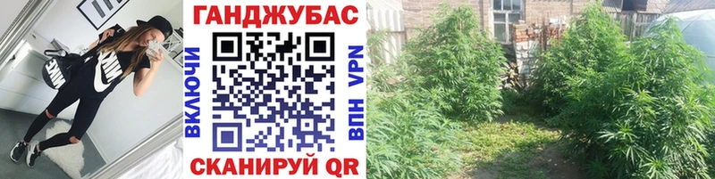 Канабис THC 21%  сайты даркнета состав  Каргополь 